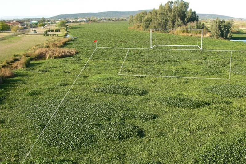 El CD Badajoz se planta y no volverá a jugar en el Nuevo Vivero